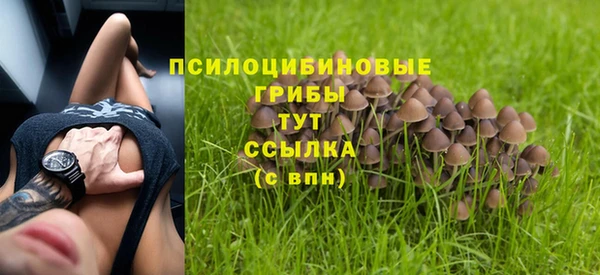 дживик Алексеевка