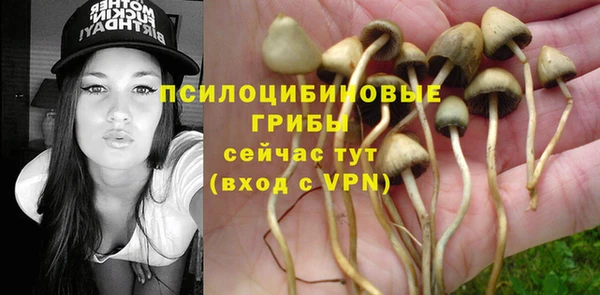 стафф Алзамай